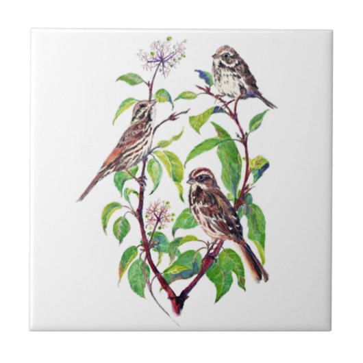 Carreau Aquarelle Petit Oiseau dans le Dogwood Bird Art (Devant)