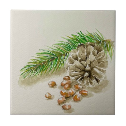 Carreau Aquarelle Pinõn Nuts Pinecone Nouveau-Mexique (Devant)