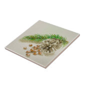 Carreau Aquarelle Pinõn Nuts Pinecone Nouveau-Mexique (Côté)