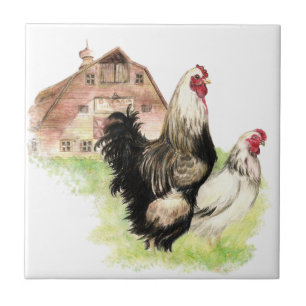 Carreau Aquarelle Poulets Hen & Rooster Farm Bird Art