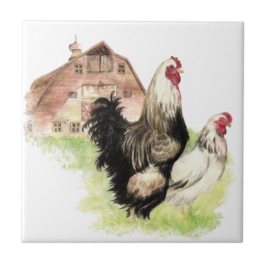 Carreau Aquarelle Poulets Hen & Rooster Farm Bird Art (Devant)