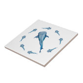 Carreau Aquarelle requin (Côté)