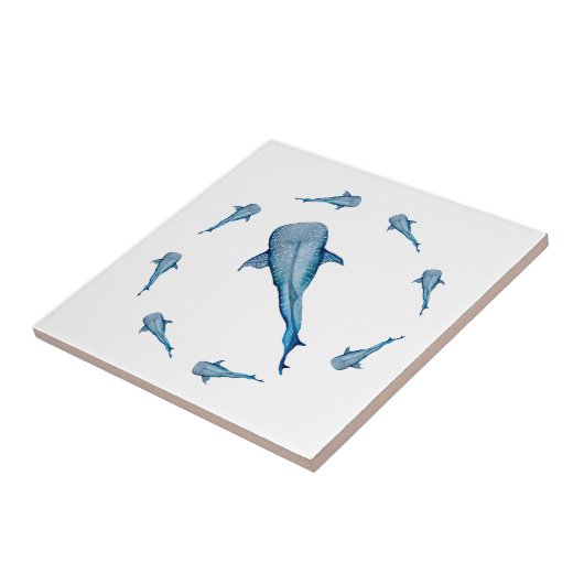 Carreau Aquarelle requin (Côté)