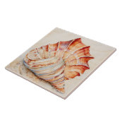 Carreau Aquarelle Sea Shell (Côté)