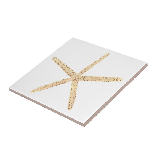 Carreau Aquarelle Seashell (Côté)