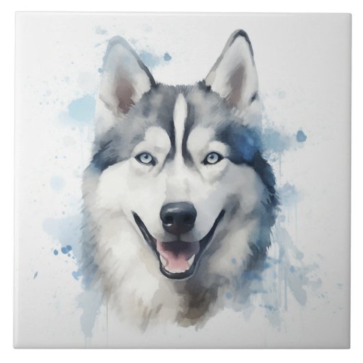 Carreau Aquarelle sibérienne Husky (Devant)