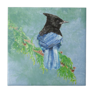 Carreau Aquarelle Stellar Jay Oiseau Art de la faune