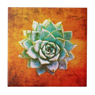 Carreau Aquarelle succulente sur la rouille orange