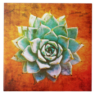 Carreau Aquarelle succulente sur la rouille orange