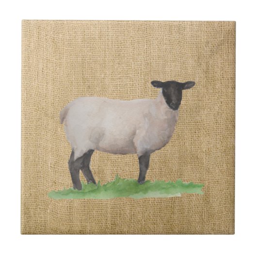 Carreau Aquarelle Suffolk Sheep (Devant)