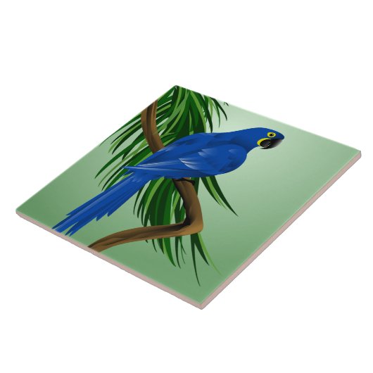 Carreau Ara bleu (Côté)