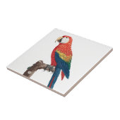 Carreau Ara Canga Parrot (Côté)