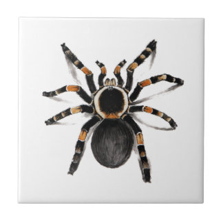 Carreau Araignée de tarentule réunie par rouge
