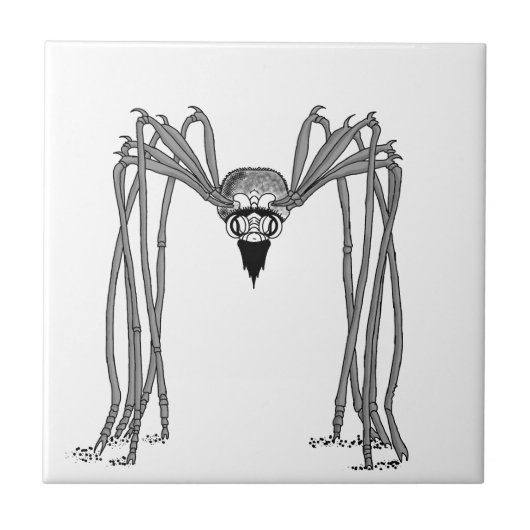 Carreau araignée . noir et blanc (Devant)