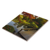 Carreau Arboretum, Jardin Japonais, Seattle, Washington, (Côté)