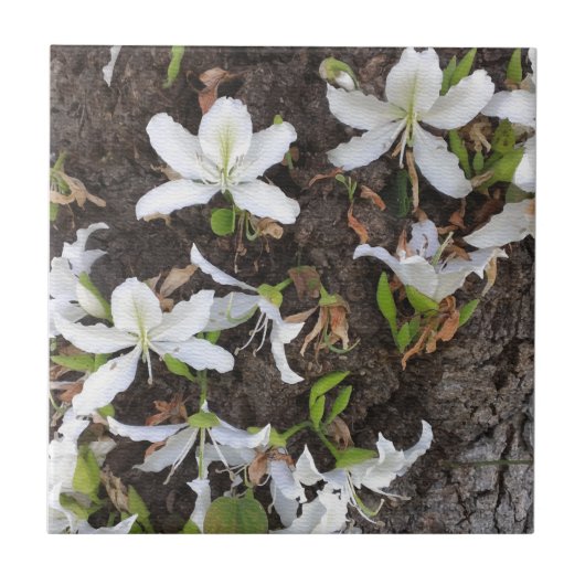 Carreau Arbre (Devant)