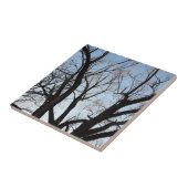 Carreau Arbre (Côté)