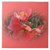 Carreau Arbre à coing (Devant)