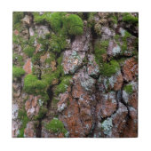 Carreau Arbre à écorce (Devant)