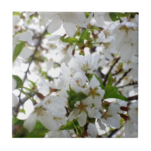 Carreau Arbre à fleurs blanches (Devant)