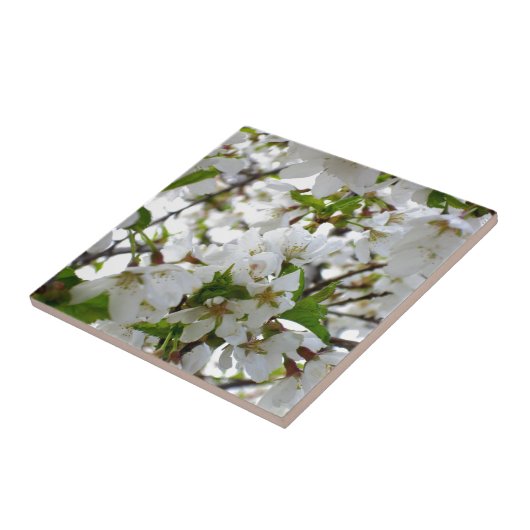 Carreau Arbre à fleurs blanches (Côté)