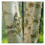 Carreau Arbre de bouleau (Devant)