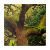 Carreau Arbre de chêne (Devant)