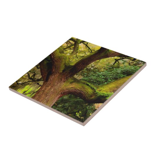 Carreau Arbre de chêne (Côté)