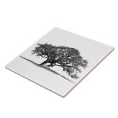 CARREAU ARBRE DE CHÊNE SUR BLANC (Côté)