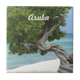 Carreau Arbre de Divi Divi dans Aruba