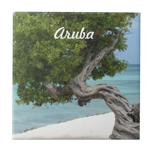 Carreau Arbre de Divi Divi dans Aruba (Devant)