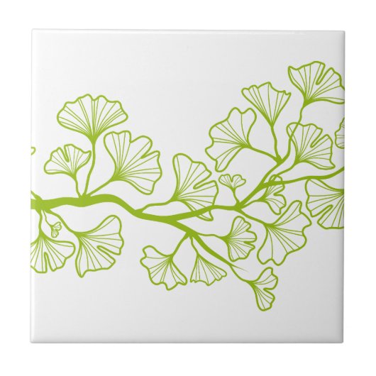 Carreau arbre de ginkgo avec le feuille vert (Devant)
