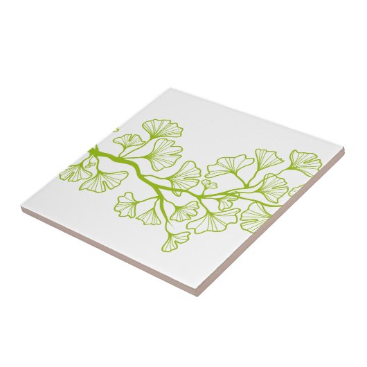 Carreau arbre de ginkgo avec le feuille vert (Côté)