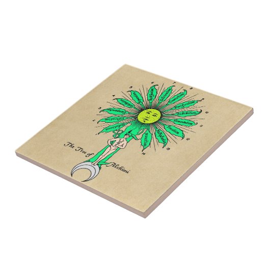 Carreau Arbre de Hermes de l'alchimie (Côté)