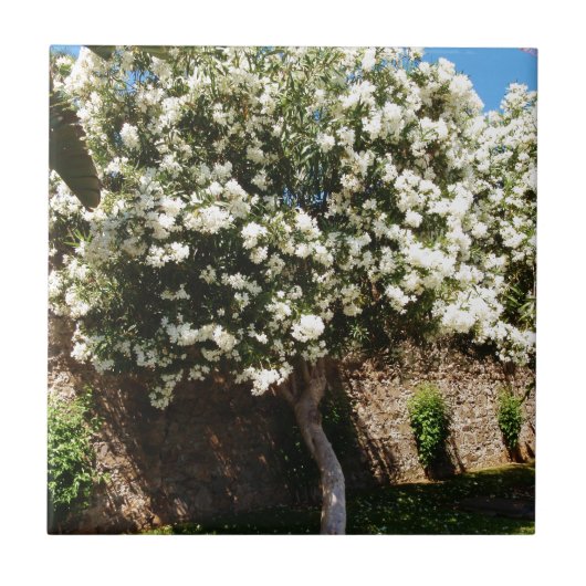 Carreau Arbre de jasmin (Devant)
