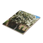 Carreau Arbre de jasmin en fleur (Côté)