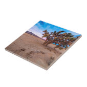 Carreau Arbre de Joshua de Mojave (Côté)