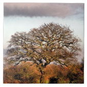 CARREAU ARBRE D'HIVER (Devant)