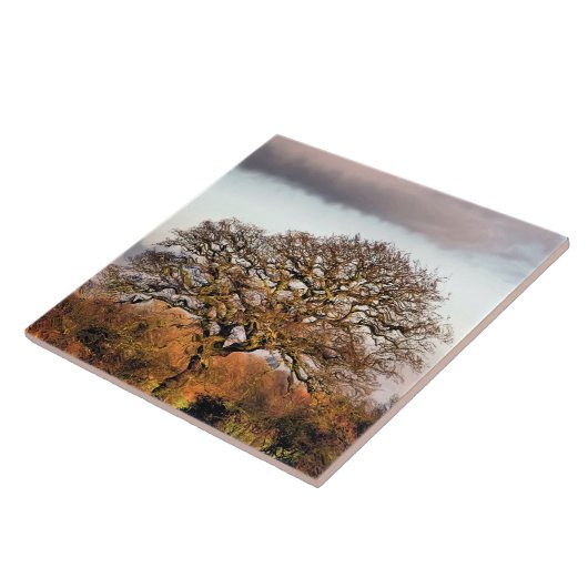 CARREAU ARBRE D'HIVER (Côté)