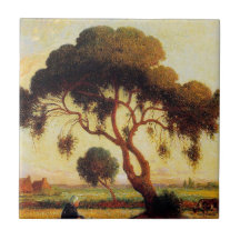Arbre d'ombre