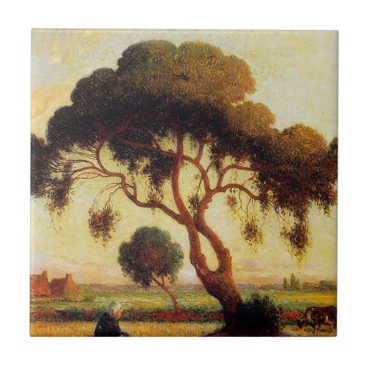 Carreau Arbre d'ombre (Devant)