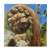 Carreau Arbre Fern Frond (Devant)