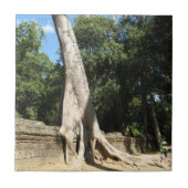 Carreau Arbre géant Banyan ... Temple de Ta Prohm, Cambodg (Devant)