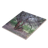 Carreau Arbre manzanita (Côté)