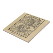 Carreau Arbre médiéval des sciences (Côté)