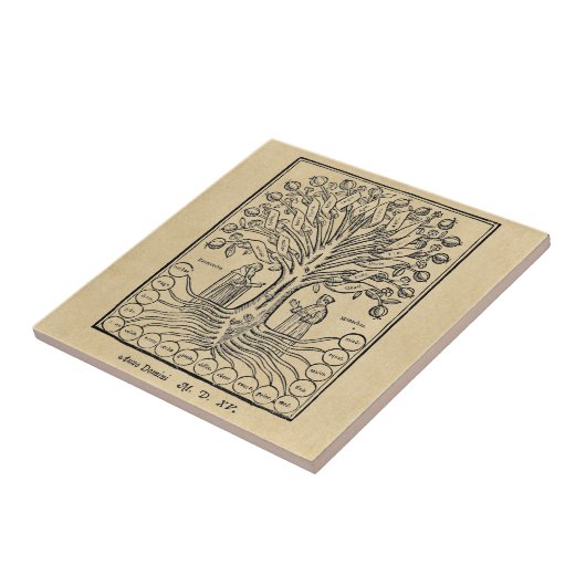 Carreau Arbre médiéval des sciences (Côté)