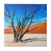 Carreau Arbre mort à Deadvlei, Namibie (Devant)