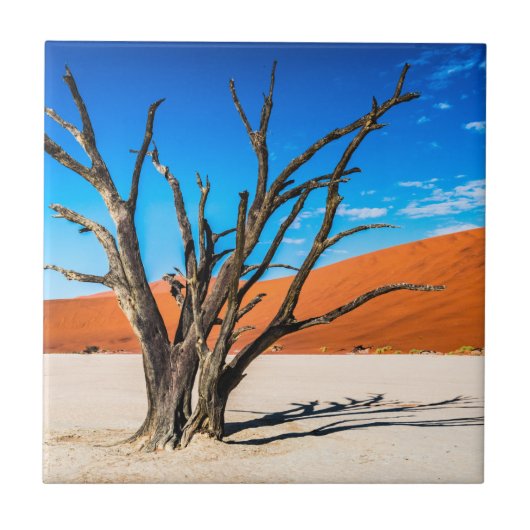Carreau Arbre mort à Deadvlei, Namibie (Devant)