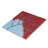 Carreau Arbre Rouge (Côté)