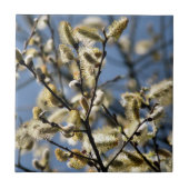 CARREAU ARBRE SAUVAGE (Devant)